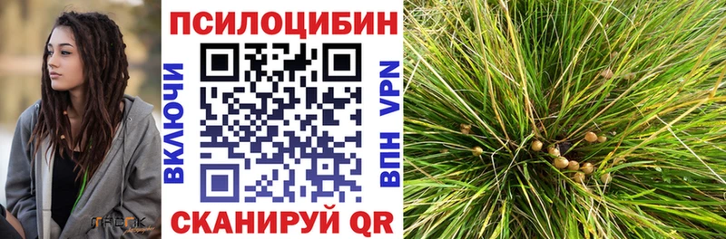 Галлюциногенные грибы Cubensis  сколько стоит  Зеленодольск 
