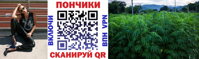 Конопля OG Kush  блэк спрут ссылки  Зеленодольск 
